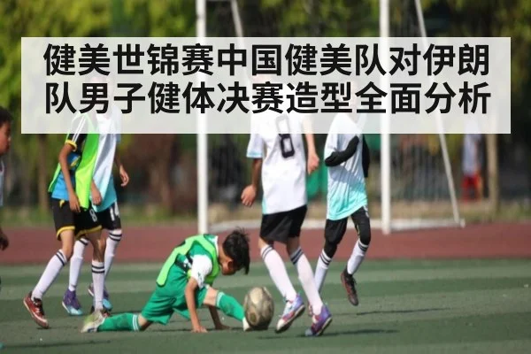 健美世锦赛中国健美队对伊朗队男子健体决赛造型全面分析